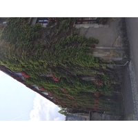 Photo France Rochefort en Terre 2017-08 85