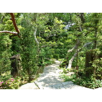 Photo Japon Tokyo Musée Nezu 2010-06 104