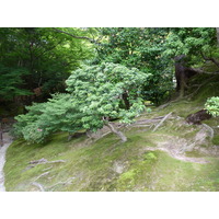 Photo Japon Kyoto Temple Ginkaku-ji (Pavillon d'argent) 2010-06 59