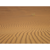 Photo Émirats arabes unis Al Ain Desert 2005-11 4
