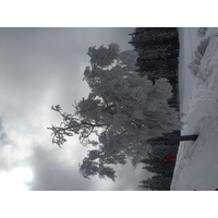 Photo France Megève 2016-02 42