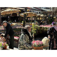 Photo Chine Lijiang 2026-01 318