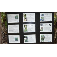 Photo Seychelles Curieuse 2011-10 37