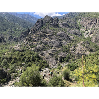 Photo France Corse Forêt d'Aïtone 2021-06 49