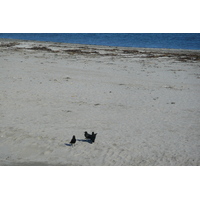 Photo France Presqu'ile de Quiberon Pointe du Conguel 2008-07 33