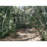 Photo France Villeneuve Loubet Parc de Vaugrenier 2006-09 13