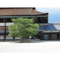 Photo Japon Kyoto Palais impérial de Kyoto 2010-06 38