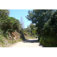 Photo France Ile de Porquerolles Pointe Bearlieu 2008-05 12