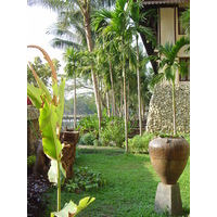Photo Birmanie (Myanmar) Rangoun Hotel Kandawgyi Palace 2005-01 45