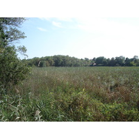 Photo France Villeneuve Loubet Parc de Vaugrenier 2006-09 25