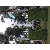 Photo États-Unis Miami 2015-03 153