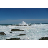 Photo Afrique du Sud Parc National Tsitsikamma 2008-09 381