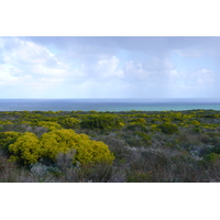 Photo Afrique du Sud Cap de Bonne Espérance pointe du cap de Bonne Espérance 2008-09 0