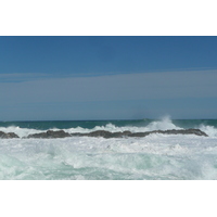 Photo Afrique du Sud Parc National Tsitsikamma 2008-09 237