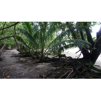 Photo Seychelles Curieuse 2011-10 12