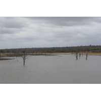 Photo Afrique du Sud Parc National Kruger Mpondo 2008-09 8