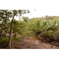 Photo Seychelles Curieuse 2011-10 54