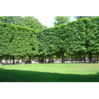 Photo France Paris Jardin des Tuileries 2007-05 353