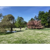 Photo France Paris Bagatelles 2017-04 18