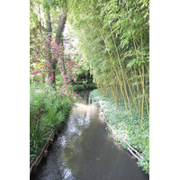 Photo France Giverny 2013-06 224