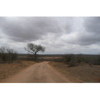 Photo Afrique du Sud Parc National Kruger Mpondo 2008-09 25
