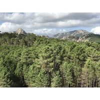 Photo France Corse Forêt de l'Ospedale 2017-09 8