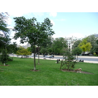 Photo France Paris Avenue Foch 2007-06 193