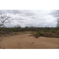 Photo Afrique du Sud Parc National Kruger 2008-09 157