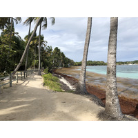 Photo Guadeloupe Plage de la Caravelle 2021-02 159