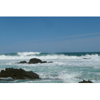 Photo Afrique du Sud Parc National Tsitsikamma 2008-09 291