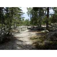 Photo France Fontainebleau Circuit des 25 bosses 2007-08 134