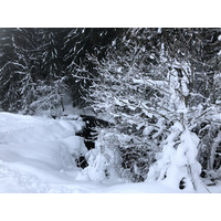 Photo France La Clusaz 2017-12 26