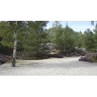 Photo France Fontainebleau Circuit des 25 bosses 2007-08 147