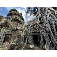 Photo Cambodge Siem Reap Ta Prohm 2023-01 57