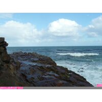Photo Afrique du Sud Cap de Bonne Espérance pointe du cap de Bonne Espérance 2008-09 47