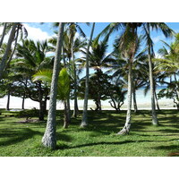 Photo Nouvelle-Calédonie Lifou 2010-05 8