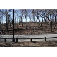 Photo États-Unis New York Central Park 2006-03 6