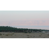 Photo Israel Mer Morte 2007-06 91