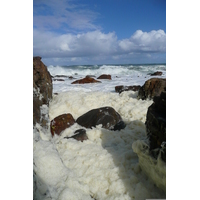 Photo Afrique du Sud Cap de Bonne Espérance pointe du cap de Bonne Espérance 2008-09 67