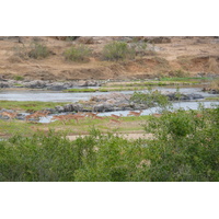 Photo Afrique du Sud Parc National Kruger rivière Crocodile 2008-09 9
