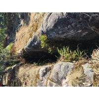 Photo Thaïlande Parc National Phu Hin Rong Kla 2014-12 281