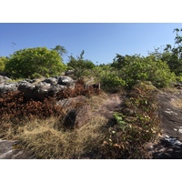 Photo Thaïlande Parc National Phu Hin Rong Kla 2014-12 233