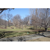 Photo États-Unis New York Central Park 2006-03 13