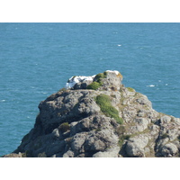 Photo Jersey 2010-04 157