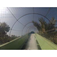 Photo Émirats arabes unis Dubai Dubai Aquaventure 2012-01 56