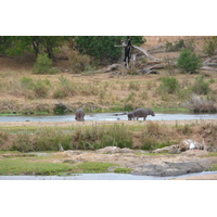 Photo Afrique du Sud Parc National Kruger rivière Crocodile 2008-09 61