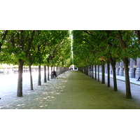 Photo France Paris Palais Royal 2007-08 48