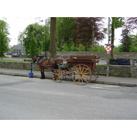 Photo Irlande Kerry Killarney 2004-05 3