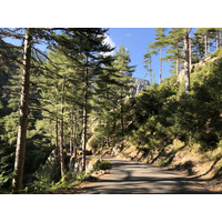 Photo France Corse La Restonica 2020-07 135
