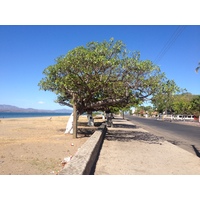 Photo Costa Rica Puntarenas 2015-03 79